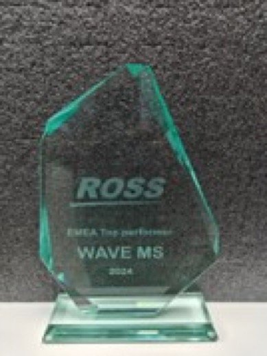 EMEA Top Performer trophy